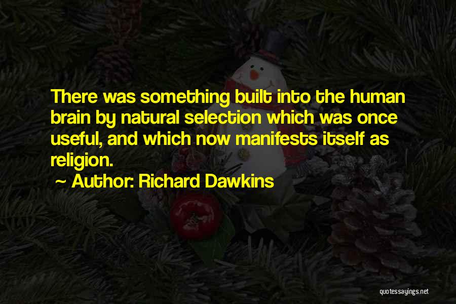 Human Brain Evolution Quotes By Richard Dawkins