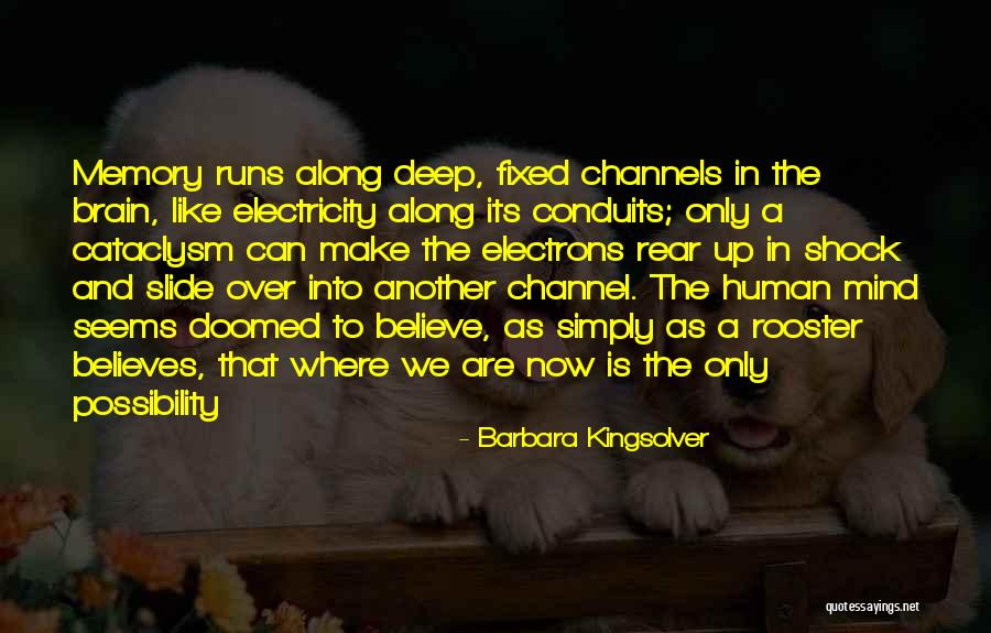 Human Brain Quotes By Barbara Kingsolver Human Brain Quotes By Barbara Kingsolver