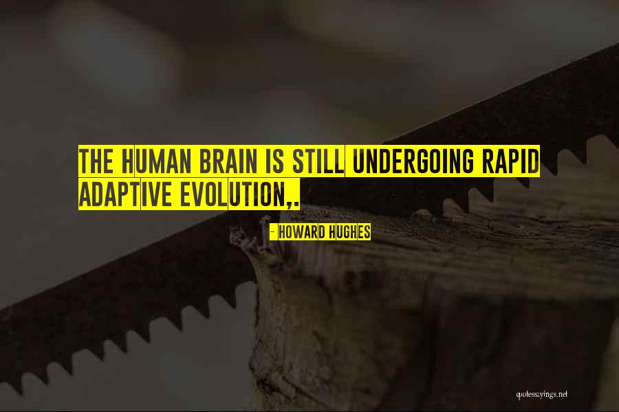 Human Brain Quotes By Howard Hughes Human Brain Quotes By Howard Hughes