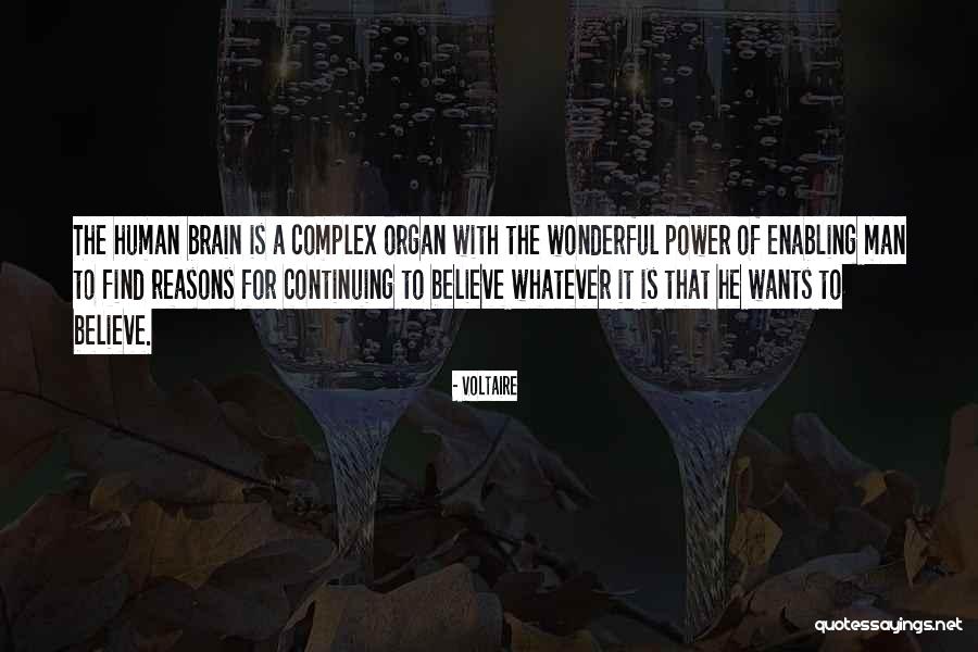 Human Brain Quotes By Voltaire Human Brain Quotes By Voltaire