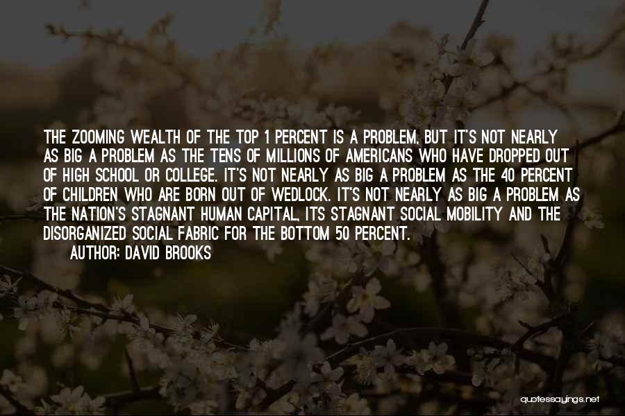 Human Capital Quotes By David Brooks