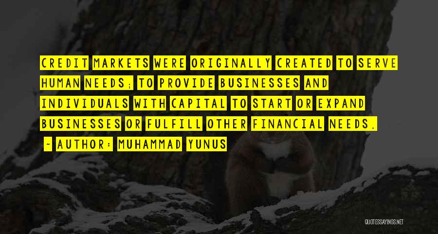Human Capital Quotes By Muhammad Yunus
