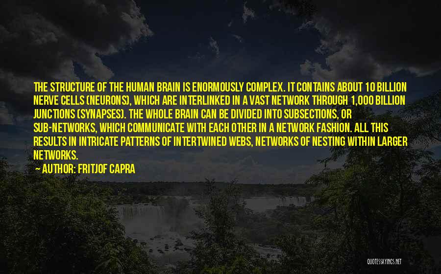 Human Cells Quotes By Fritjof Capra