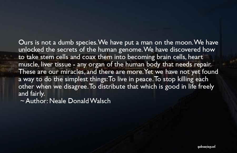 Human Cells Quotes By Neale Donald Walsch