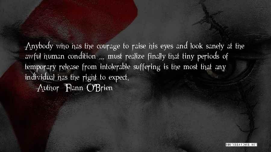 Human Condition Quotes By Flann O'Brien