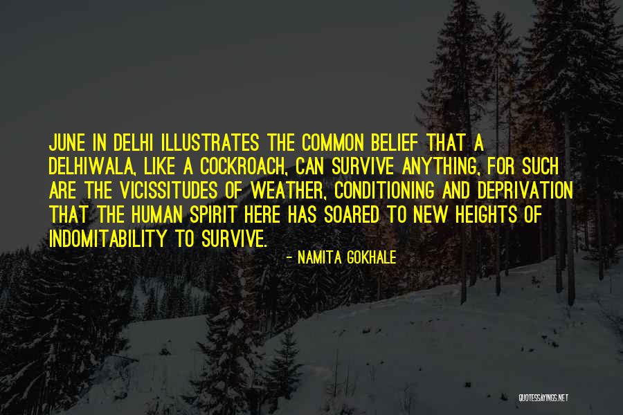 Human Conditioning Quotes By Namita Gokhale