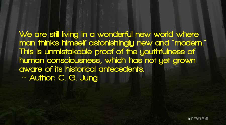 Human Consciousness Quotes By C. G. Jung