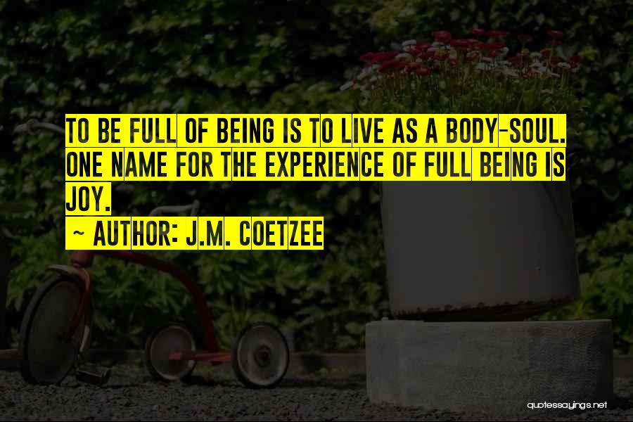 Human Consciousness Quotes By J.M. Coetzee
