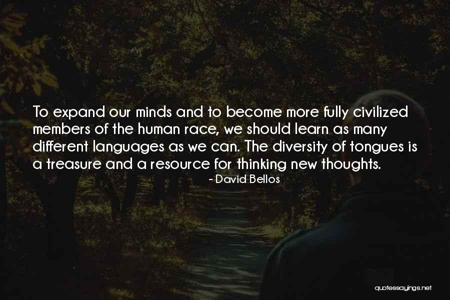Human Diversity Quotes By David Bellos Human Diversity Quotes By David Bellos