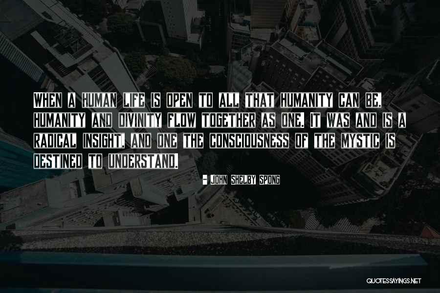 Human Divinity Quotes By John Shelby Spong Human Divinity Quotes By John Shelby Spong