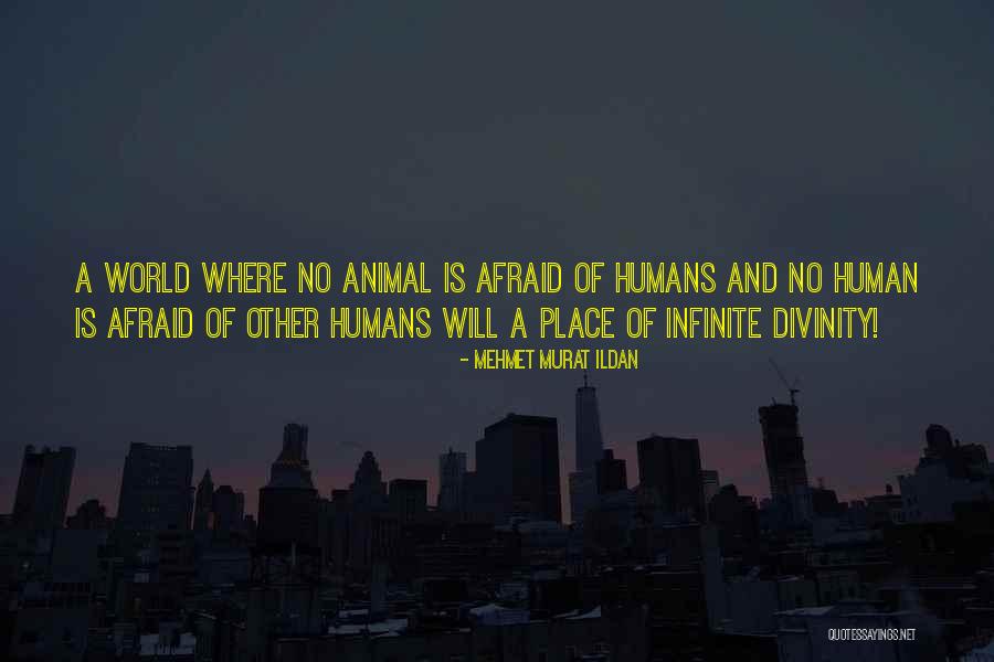 Human Divinity Quotes By Mehmet Murat Ildan Human Divinity Quotes By Mehmet Murat Ildan