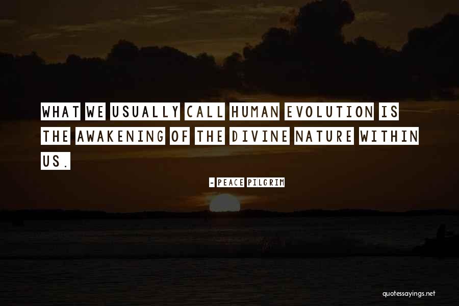 Human Divinity Quotes By Peace Pilgrim Human Divinity Quotes By Peace Pilgrim
