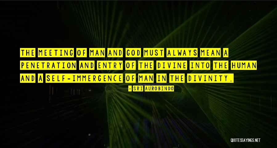Human Divinity Quotes By Sri Aurobindo Human Divinity Quotes By Sri Aurobindo