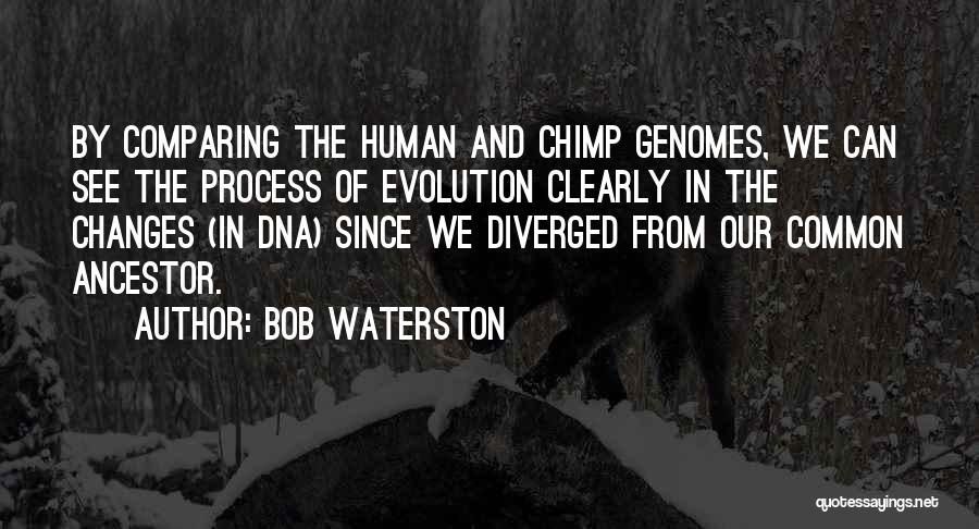 Human Dna Quotes By Bob Waterston