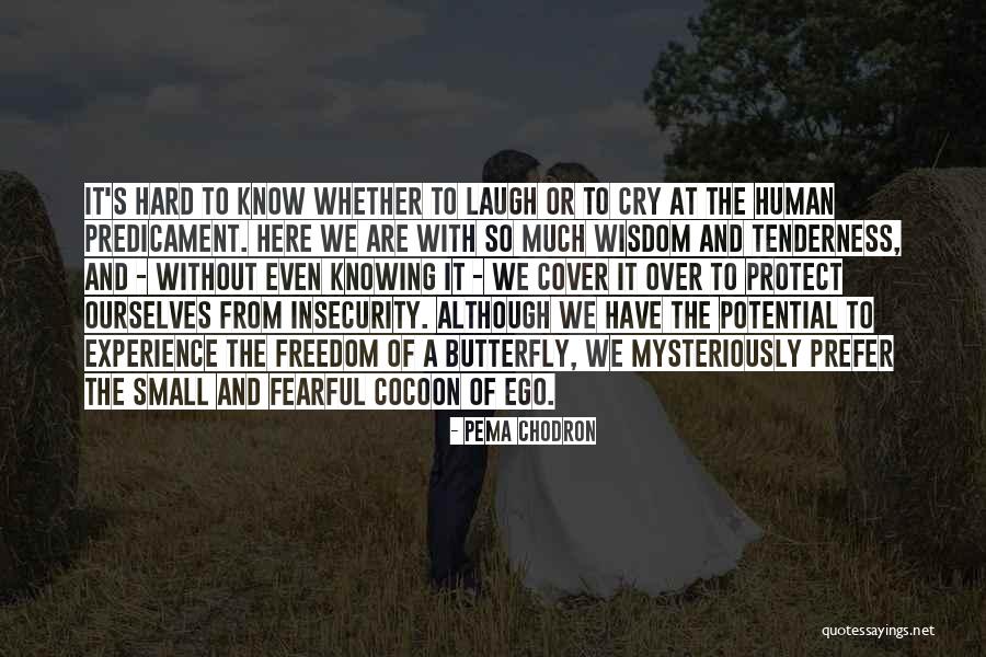 Human Ego Quotes By Pema Chodron Human Ego Quotes By Pema Chodron