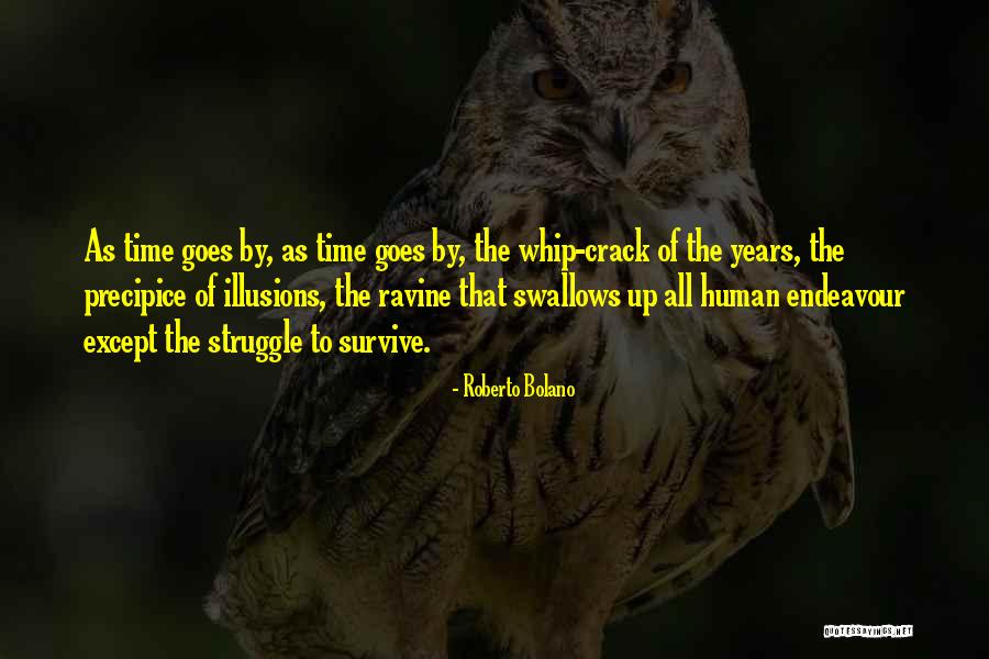 Human Endeavour Quotes By Roberto Bolano Human Endeavour Quotes By Roberto Bolano