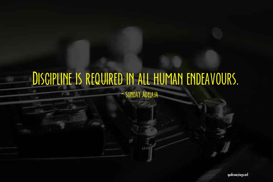 Human Endeavour Quotes By Sunday Adelaja Human Endeavour Quotes By Sunday Adelaja