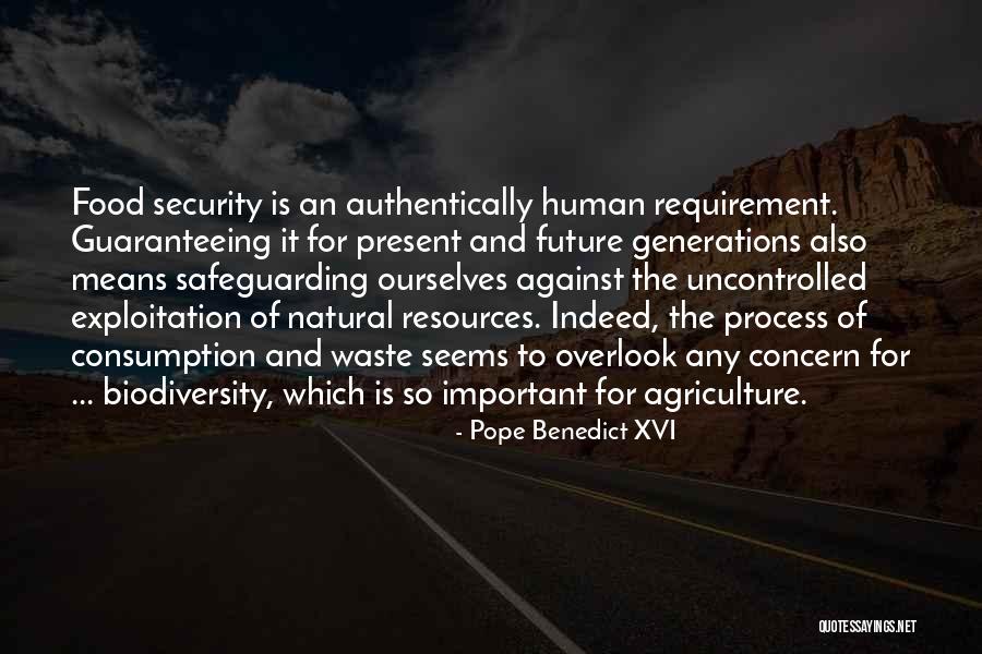 Human Exploitation Quotes By Pope Benedict XVI Human Exploitation Quotes By Pope Benedict XVI