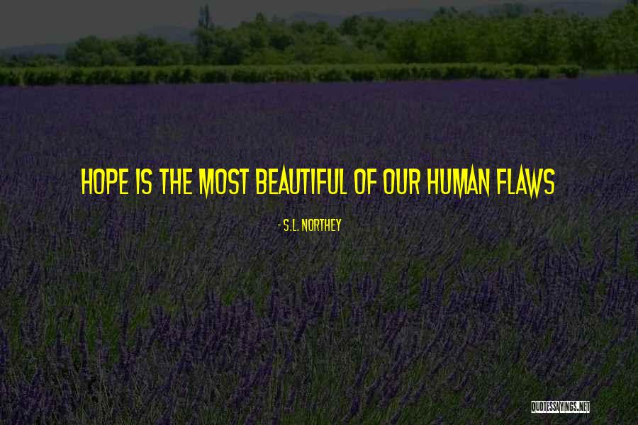 Human Flaws Quotes By S.L. Northey