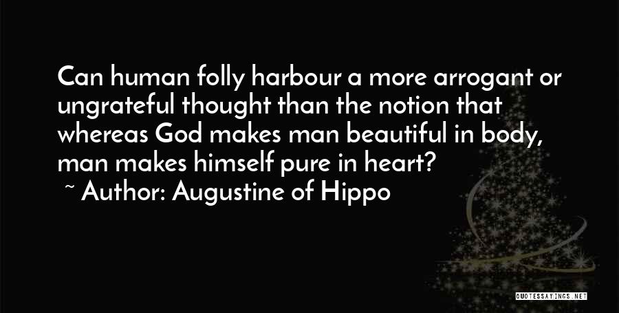 Human Folly Quotes By Augustine Of Hippo