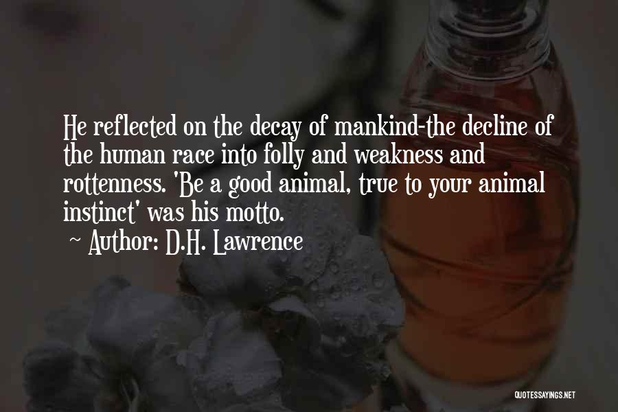 Human Folly Quotes By D.H. Lawrence