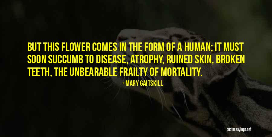 Human Frailty Quotes By Mary Gaitskill Human Frailty Quotes By Mary Gaitskill