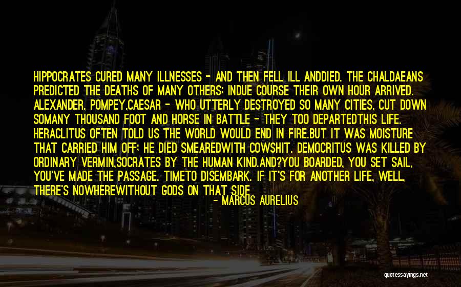 Human Garbage Quotes By Marcus Aurelius Human Garbage Quotes By Marcus Aurelius
