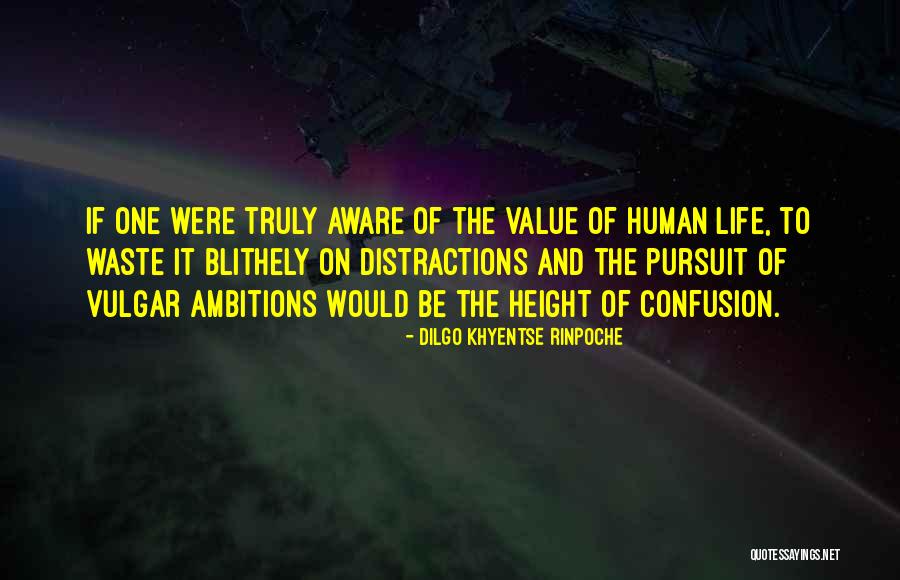 Human Height Quotes By Dilgo Khyentse Rinpoche Human Height Quotes By Dilgo Khyentse Rinpoche