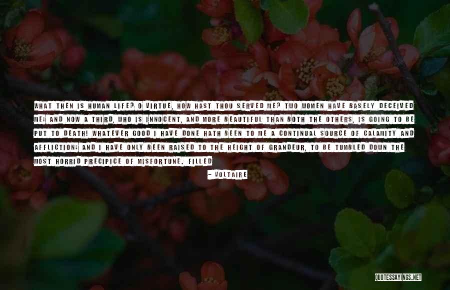 Human Height Quotes By Voltaire Human Height Quotes By Voltaire