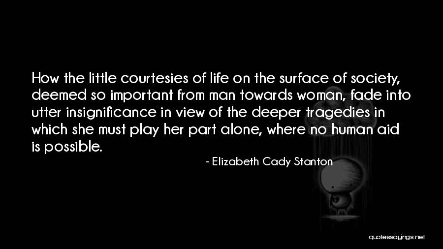 Human Insignificance Quotes By Elizabeth Cady Stanton Human Insignificance Quotes By Elizabeth Cady Stanton
