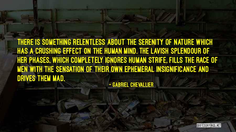 Human Insignificance Quotes By Gabriel Chevallier Human Insignificance Quotes By Gabriel Chevallier