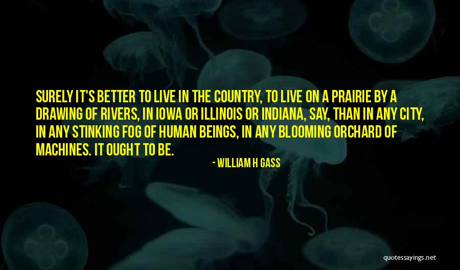 Human Machines Quotes By William H Gass Human Machines Quotes By William H Gass