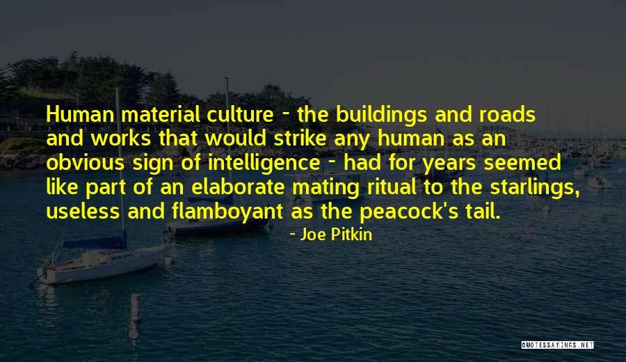 Human Mating Quotes By Joe Pitkin Human Mating Quotes By Joe Pitkin