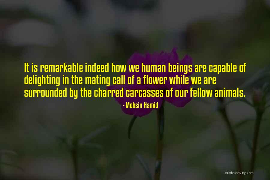 Human Mating Quotes By Mohsin Hamid Human Mating Quotes By Mohsin Hamid