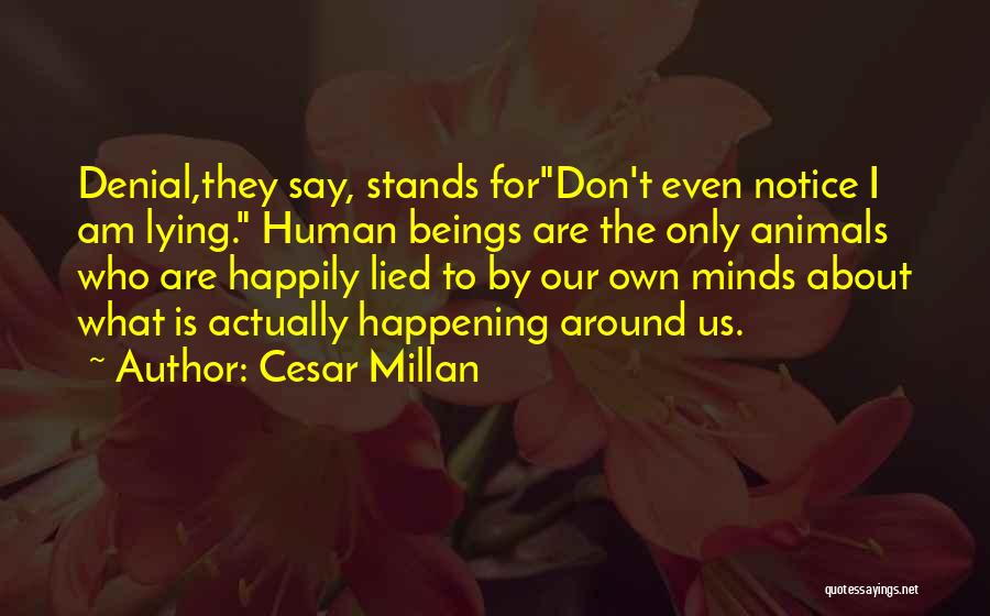 Human Minds Quotes By Cesar Millan