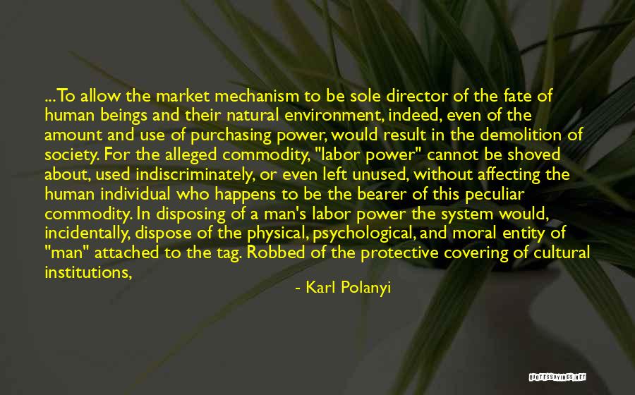 Human Nature And Power Quotes By Karl Polanyi Human Nature And Power Quotes By Karl Polanyi
