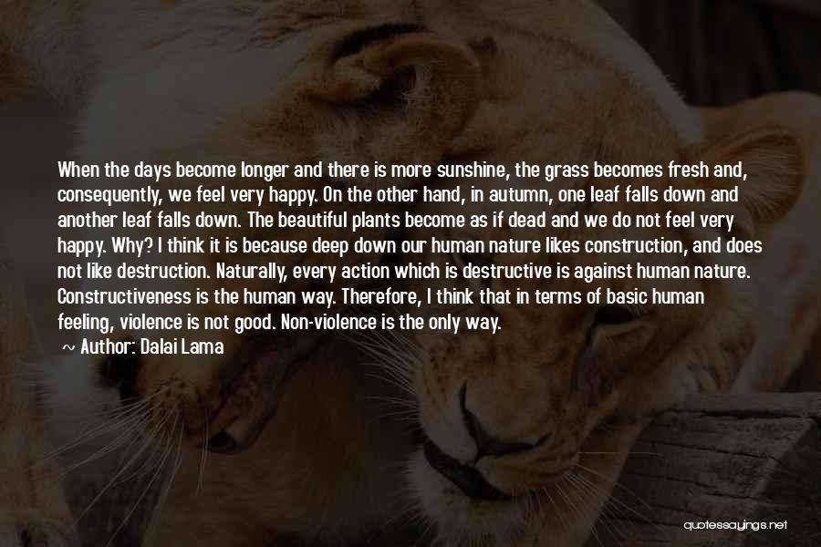 Human Nature Destruction Quotes By Dalai Lama