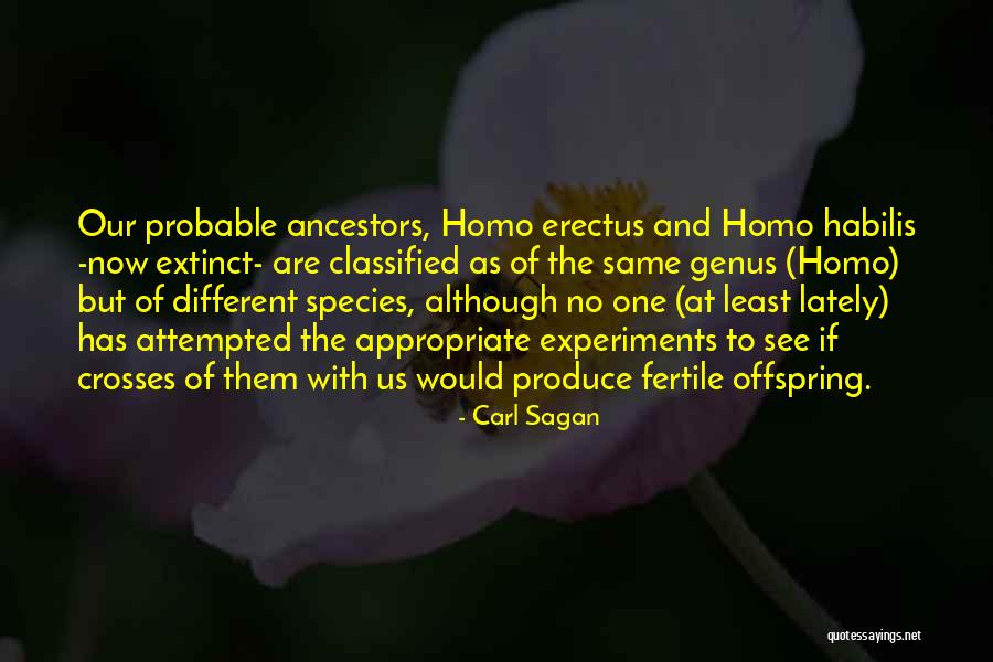 Human Offspring Quotes By Carl Sagan Human Offspring Quotes By Carl Sagan
