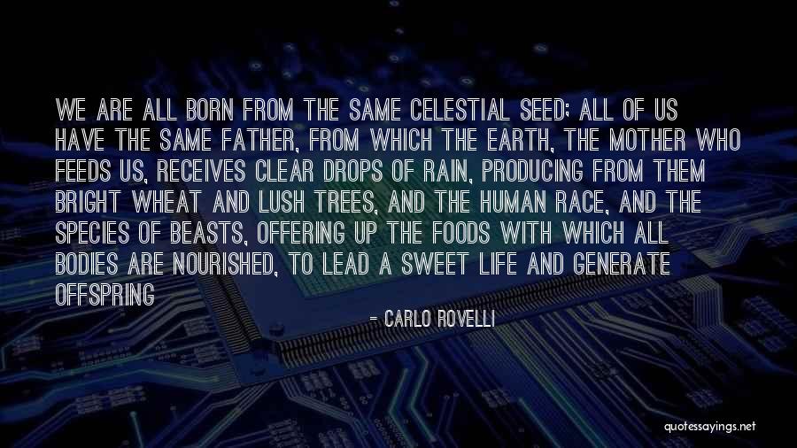Human Offspring Quotes By Carlo Rovelli Human Offspring Quotes By Carlo Rovelli