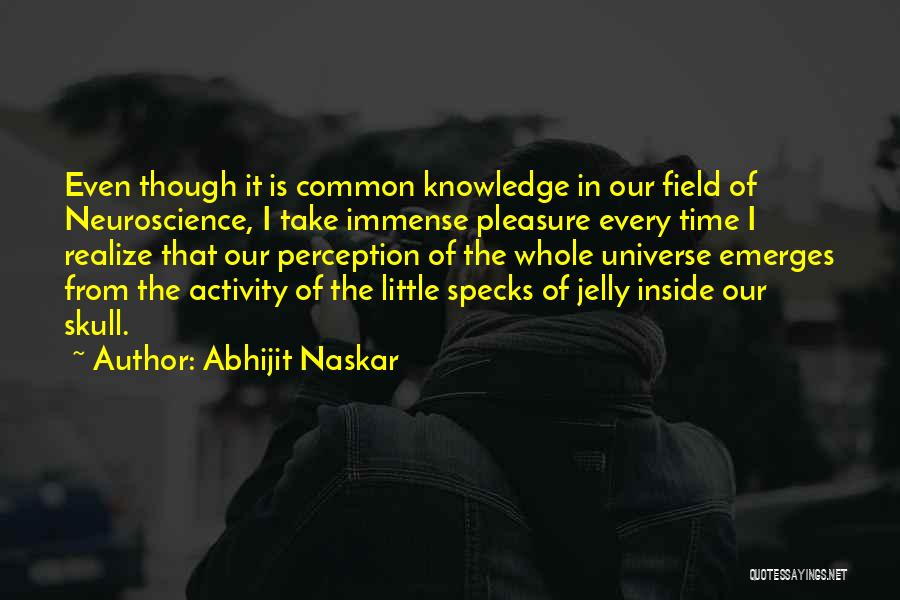 Human Perception Quotes By Abhijit Naskar