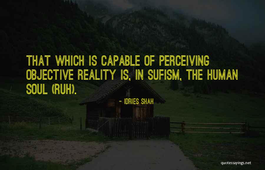 Human Perception Quotes By Idries Shah