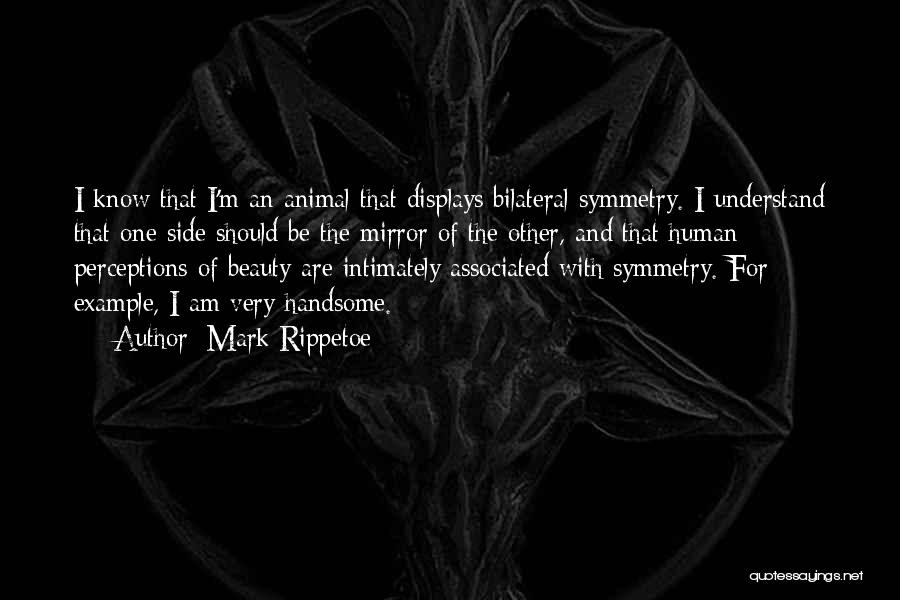 Human Perception Quotes By Mark Rippetoe