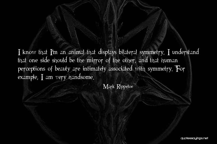 Human Perception Quotes By Mark Rippetoe