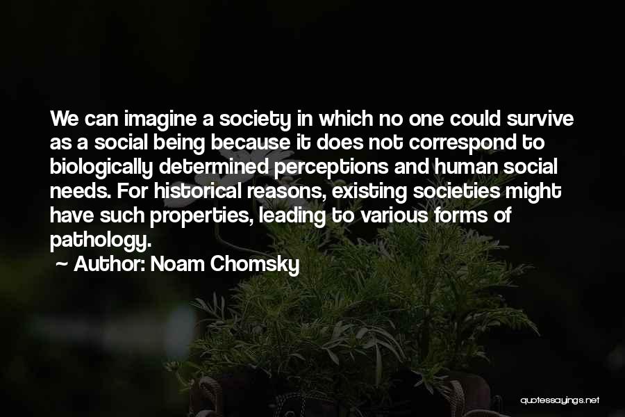 Human Perceptions Quotes By Noam Chomsky