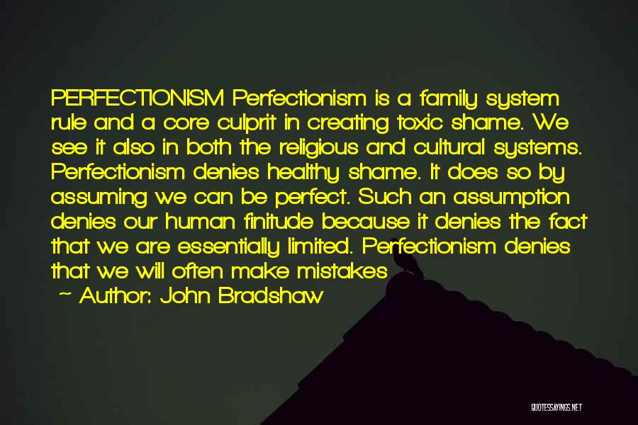 Human Perfectionism Quotes By John Bradshaw