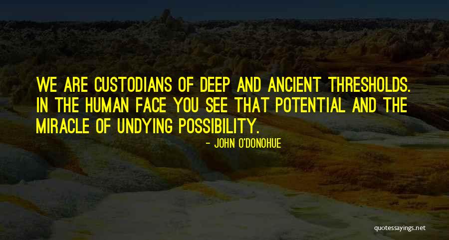 Human Possibility Quotes By John O'Donohue Human Possibility Quotes By John O'Donohue