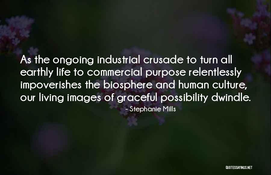 Human Possibility Quotes By Stephanie Mills Human Possibility Quotes By Stephanie Mills