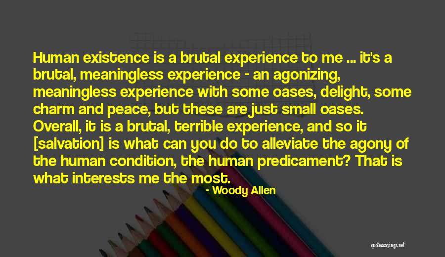 Human Predicament Quotes By Woody Allen Human Predicament Quotes By Woody Allen