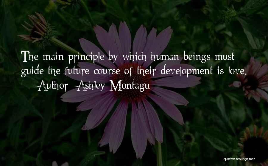 Human Principles Quotes By Ashley Montagu