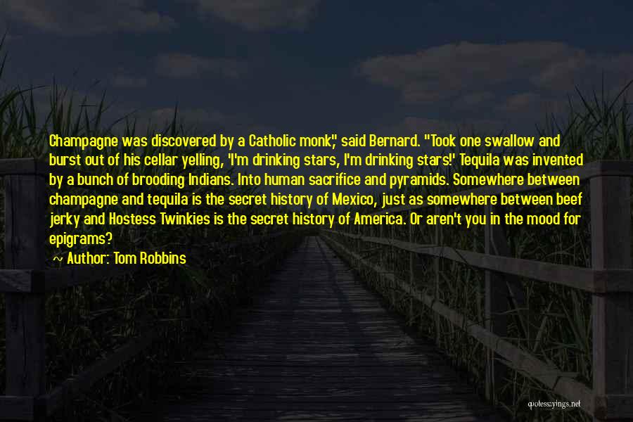 Human Pyramids Quotes By Tom Robbins